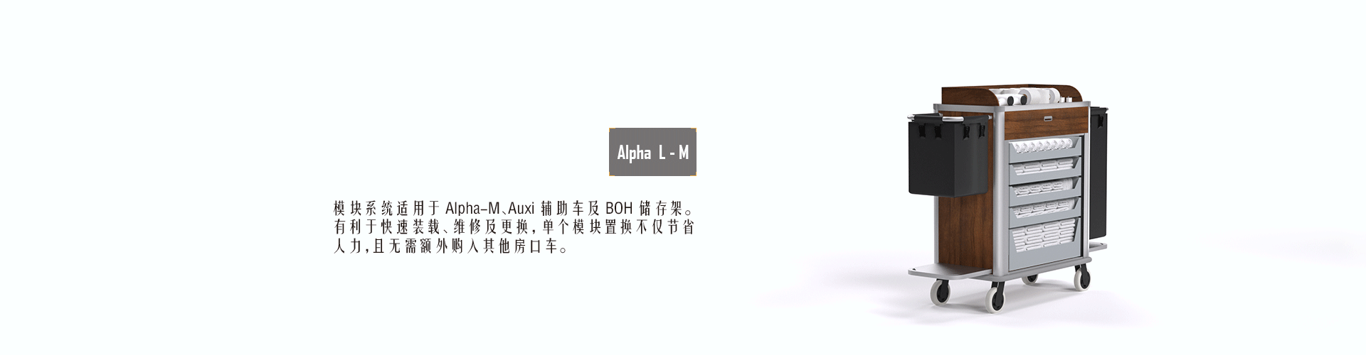 AlphaL-M中文.gif
